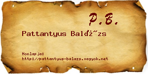Pattantyus Balázs névjegykártya